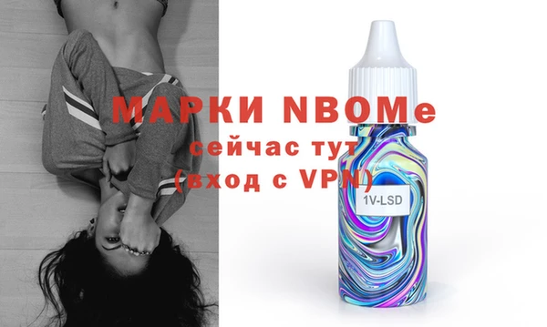 индика Богородицк