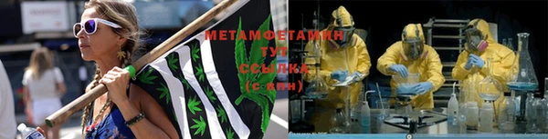 индика Богородицк