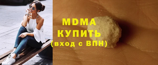 индика Богородицк