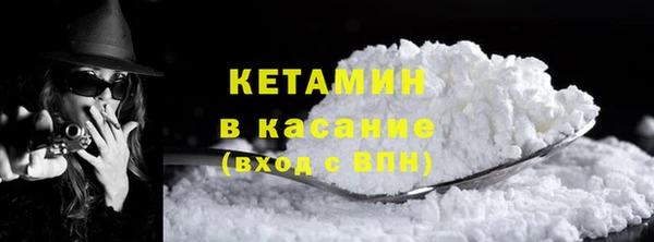 индика Богородицк