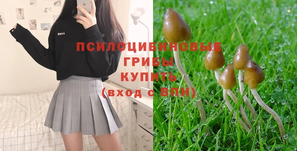 прущая мука Бронницы