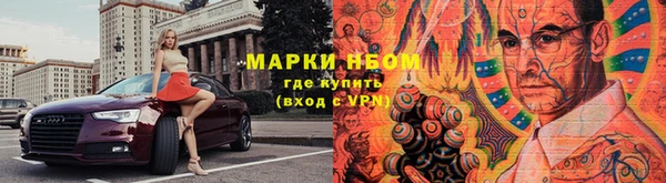 индика Богородицк