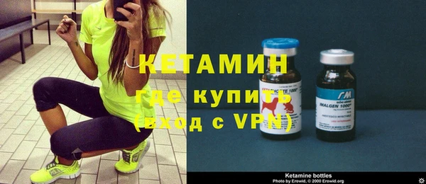 индика Богородицк