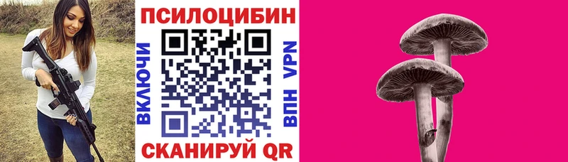 закладка  Сретенск  сайты даркнета состав  Галлюциногенные грибы прущие грибы 